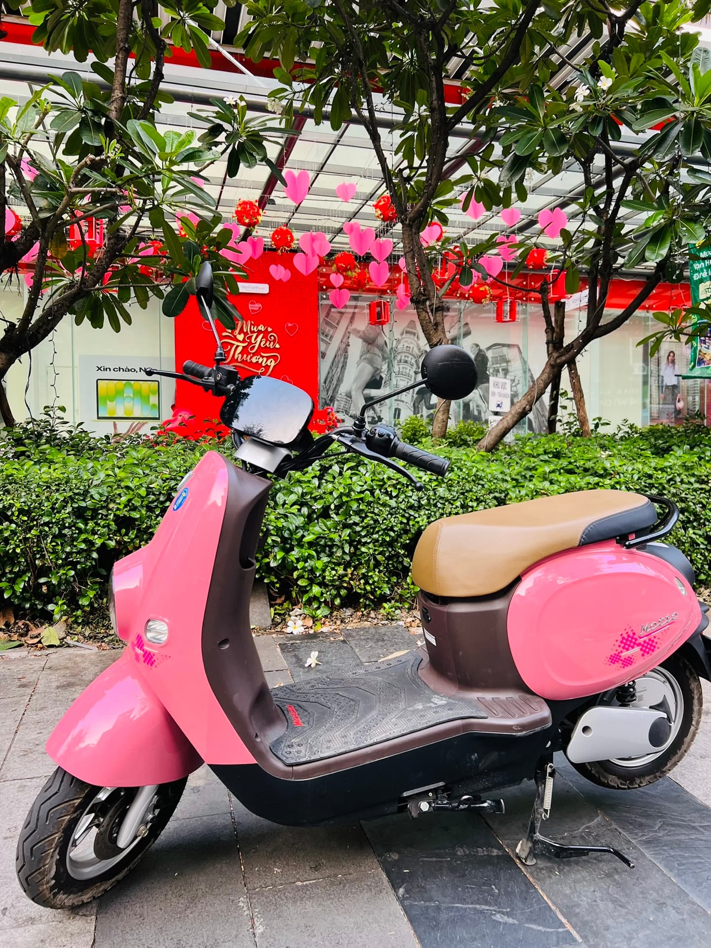 Motio Xe không bằng lái